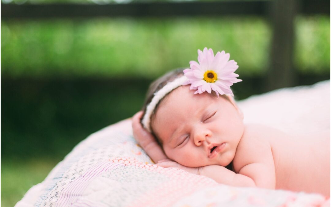 Meadow Lynn Newborn Session: Ashland, Virginia