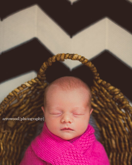 Kayla Jade : Newborn Session